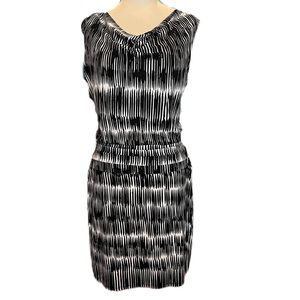 Ann Taylor NWT Size Large Petite Dress Black & Ivory Summer